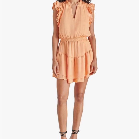 Steve Madden Rust Ruffle Mini Dress - Picture 9 of 9